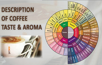 Coffee Tips:　How to Describe A Cup of Coffee?